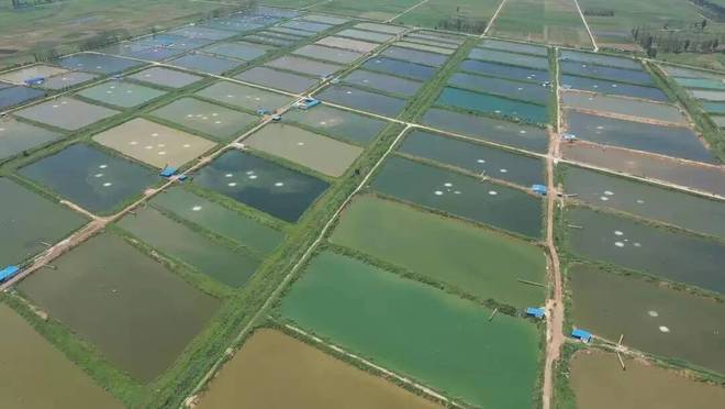 非凡十年丨菏泽 农业综合生产能力不断增强 乡村产业高质量发展步伐加快 渔业