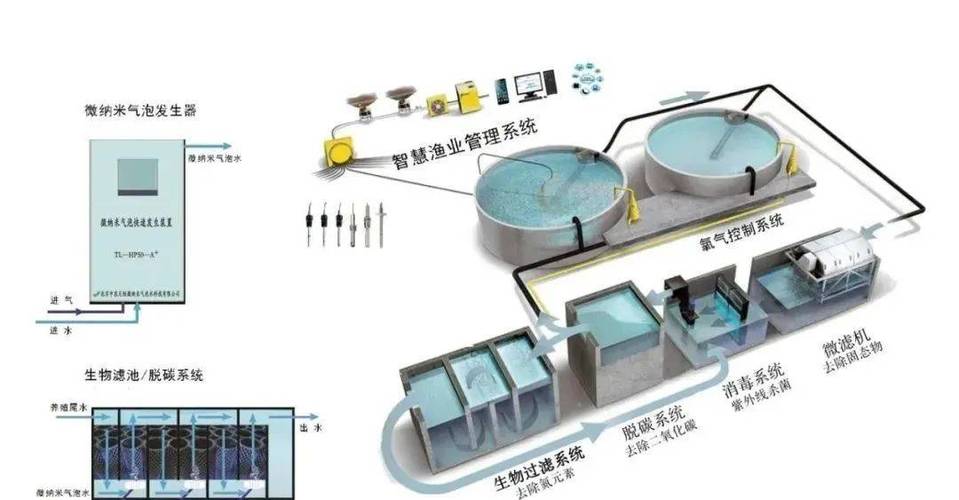 智商税or渔业未来,谁才是循环水养殖的真面目?