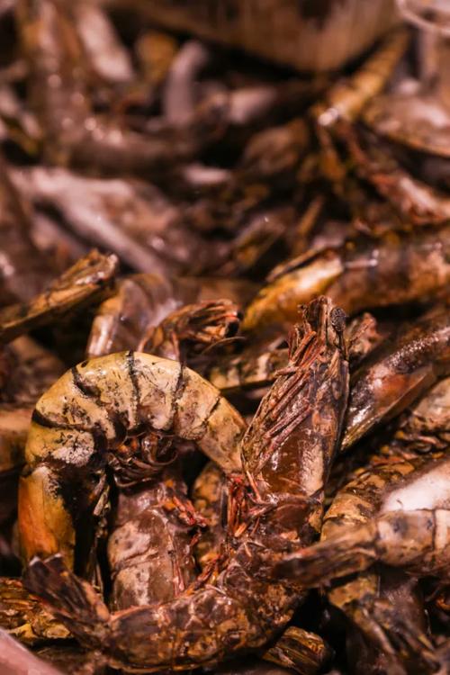 黑虎虾海鲜美食摄影图海产品白贝特写海鲜美食摄影图花贝海鲜美食摄影